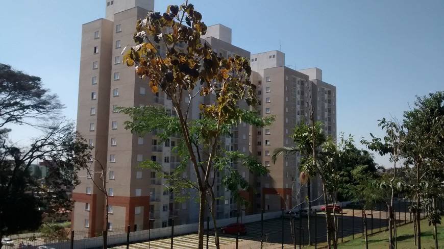 Apartamento - Venda - Colnia (zona Leste) - Sao Paulo - SP